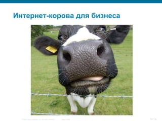 © 2007 Cisco Systems, Inc. All rights reserved. Cisco Public 18/139
Интернет-корова для бизнеса
 