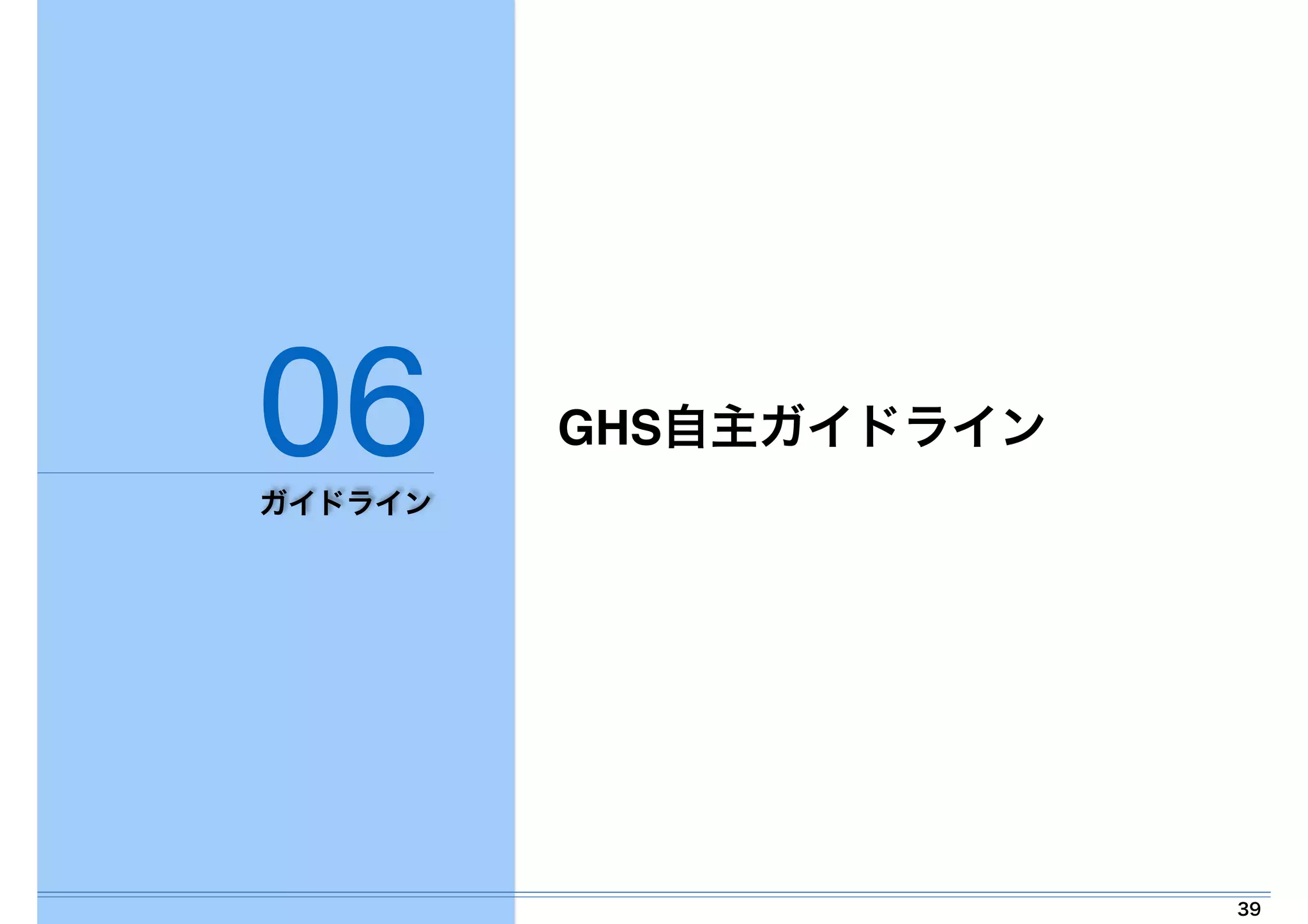 39 
06 
ガイドライン 
GHS自主ガイドライン 
 