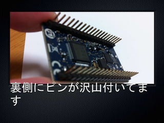 裏側にピンが沢山付いてま 
す 
 