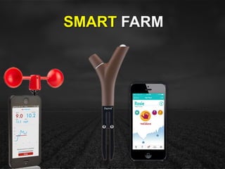 SMART FARM
 