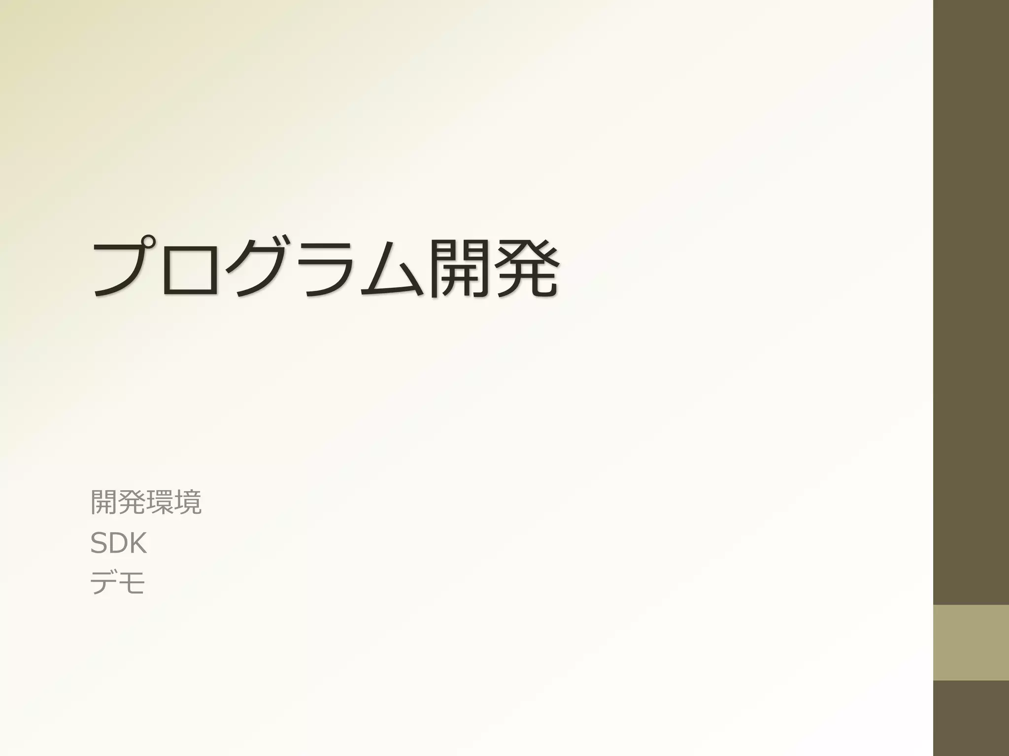 プログラム開発
開発環境
SDK
デモ
 