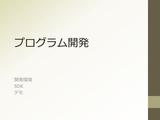 プログラム開発
開発環境
SDK
デモ
 