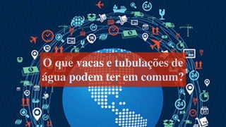 O que vacas e tubulações de
água podem ter em comum?
 