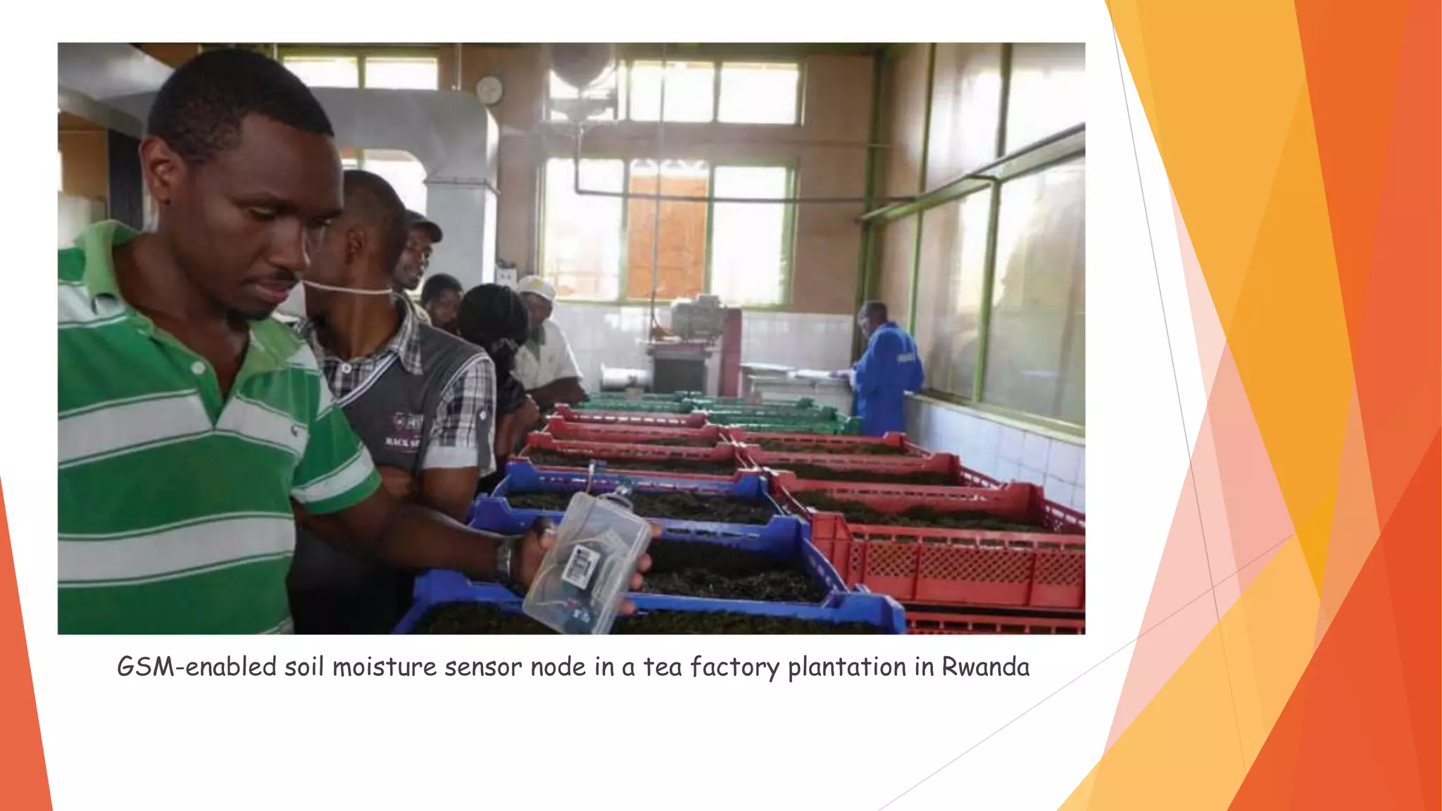 GSM-enabled soil moisture sensor node in a tea factory plantation in Rwanda
 