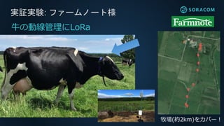 実証実験: ファームノート様
牧場(約2km)をカバー！
牛の動線管理にLoRa
 