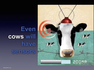 2015 © PIVIT, LLC.
Even
cows will
have
sensors
 