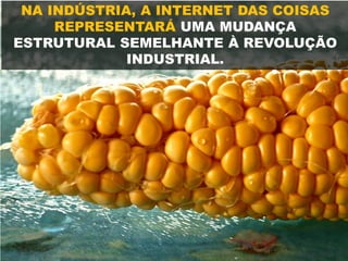 NA INDÚSTRIA, A INTERNET DAS COISAS
REPRESENTARÁ UMA MUDANÇA
ESTRUTURAL SEMELHANTE À REVOLUÇÃO
INDUSTRIAL.
 