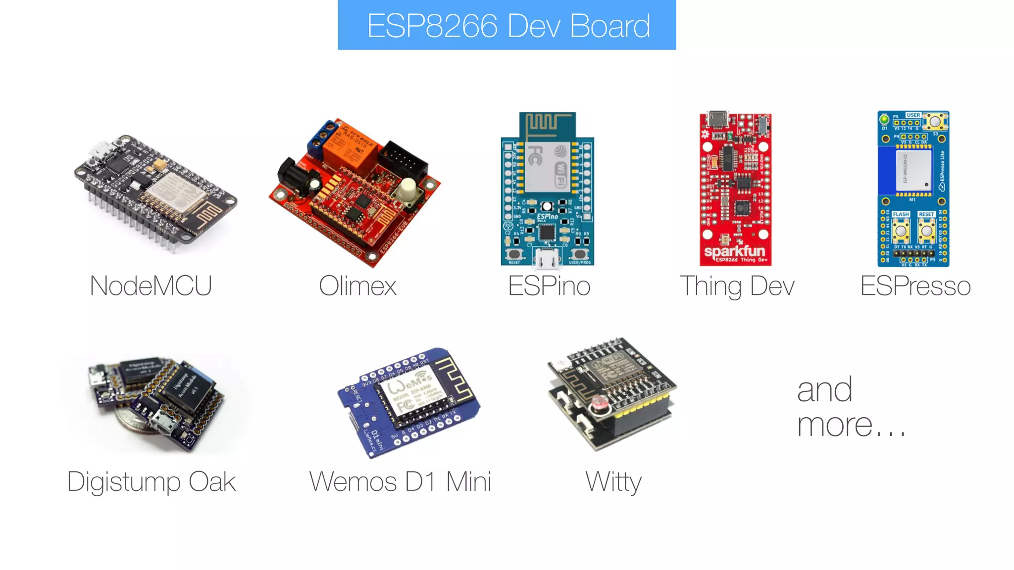 ESP8266 Dev Board
OlimexNodeMCU ESPino Thing Dev ESPresso
Digistump Oak Wemos D1 Mini Witty
and 
more…
 