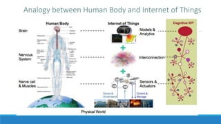 Analogy between Human Body and Internet of Things
 