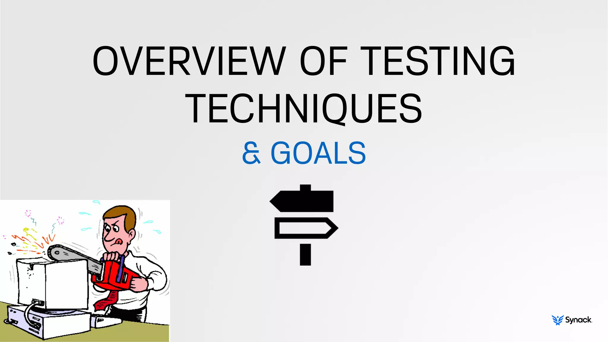 OVERVIEW OF TESTING
TECHNIQUES
& GOALS
 
