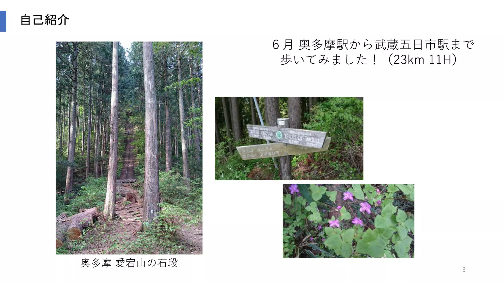 3
自己紹介
奥多摩 愛宕山の石段
６月 奥多摩駅から武蔵五日市駅まで
歩いてみました！（23km 11H）
 