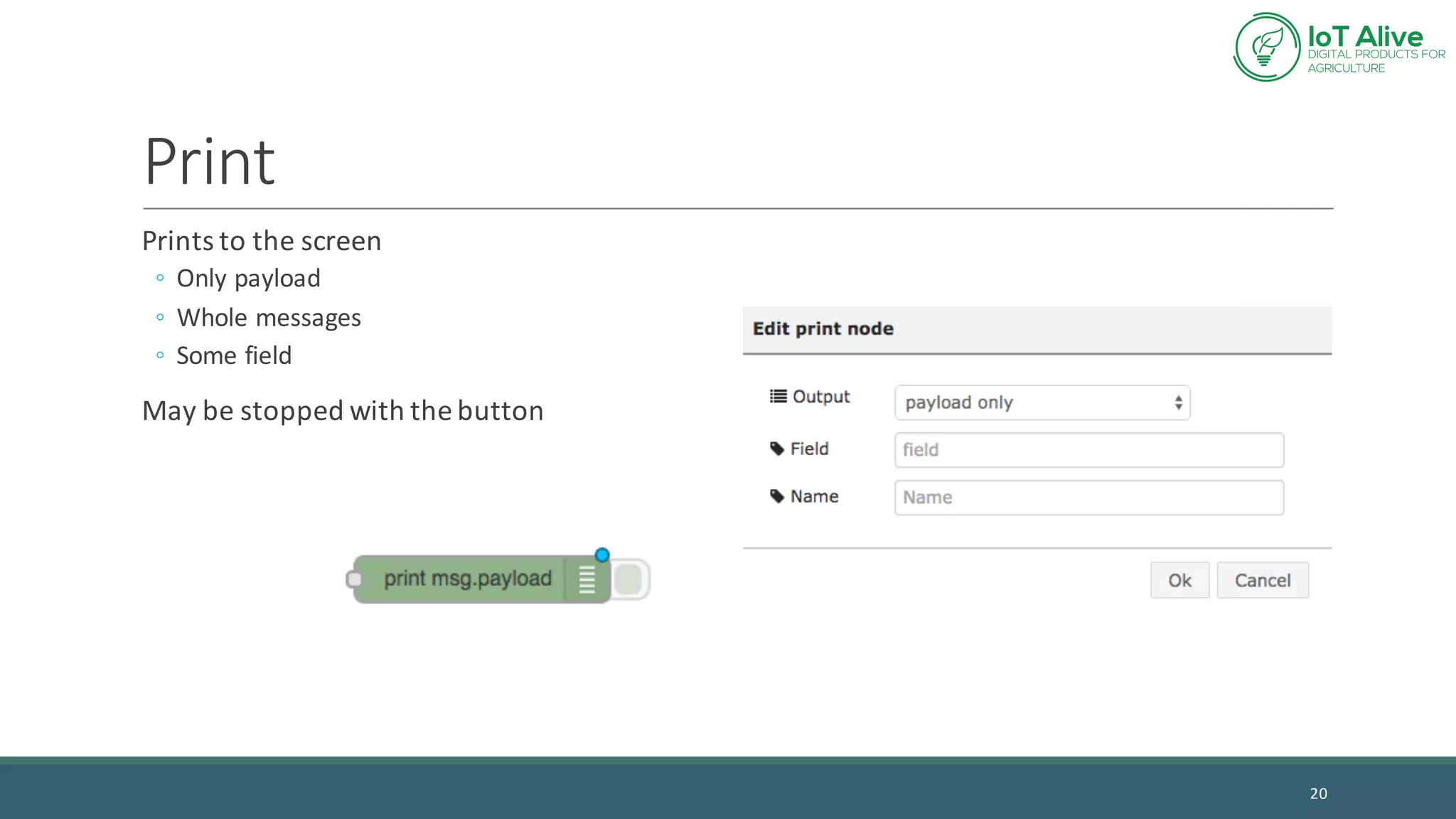 Print
Prints	to	the	screen
◦ Only	payload
◦ Whole	messages
◦ Some	field
May	be	stopped	with	the	button
20
 