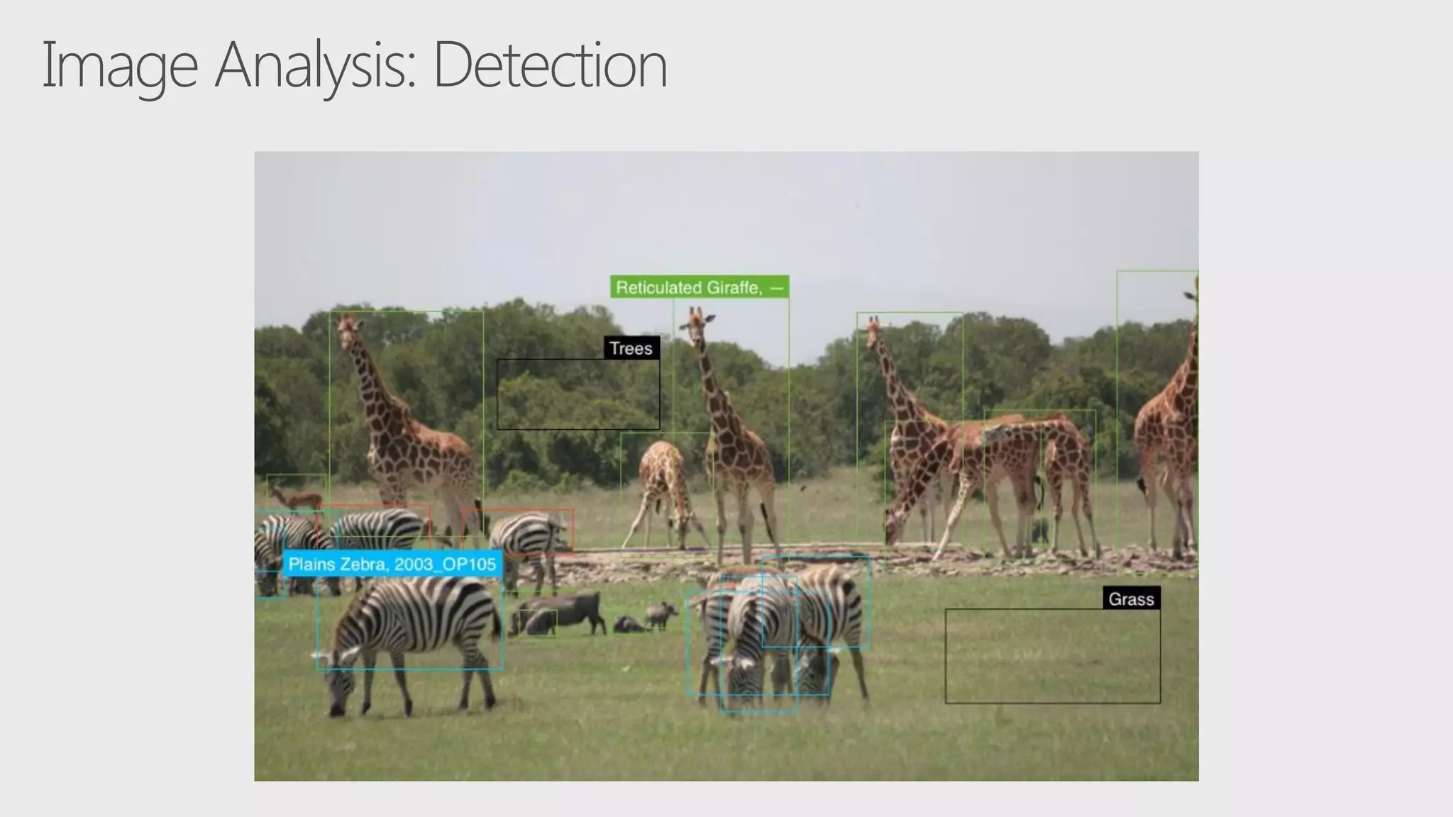 Image Analysis: Detection
 