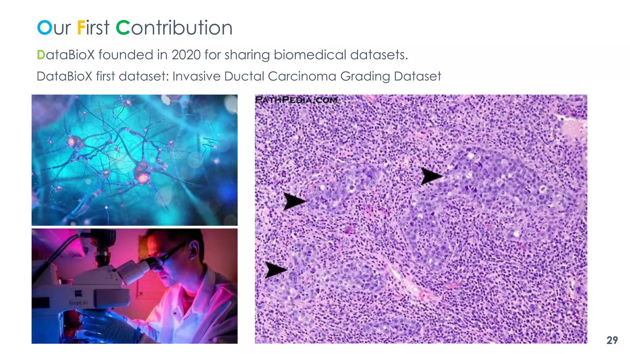 Our First Contribution
DataBioX founded in 2020 for sharing biomedical datasets.
DataBioX first dataset: Invasive Ductal Carcinoma Grading Dataset
29
 