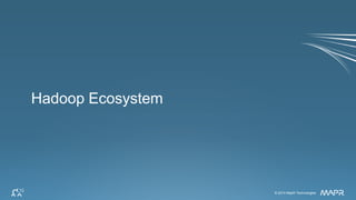 © 2014 MapR Technologies 19© 2014 MapR Technologies
Hadoop Ecosystem
 
