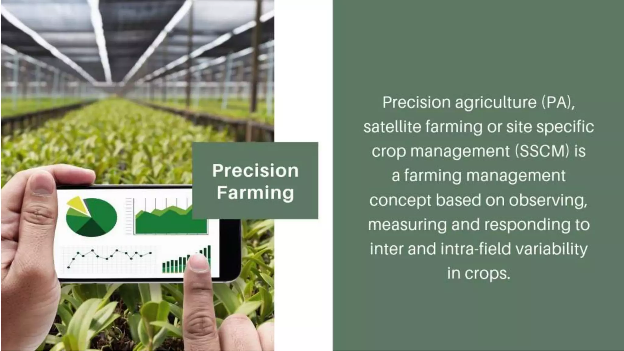Precision Farming
Precision agriculture (PA), satellite farming or site specific crop
management (SSCM) is a farming management concept based
on observing, measuring and responding to inter and intra-field
variability in crops.