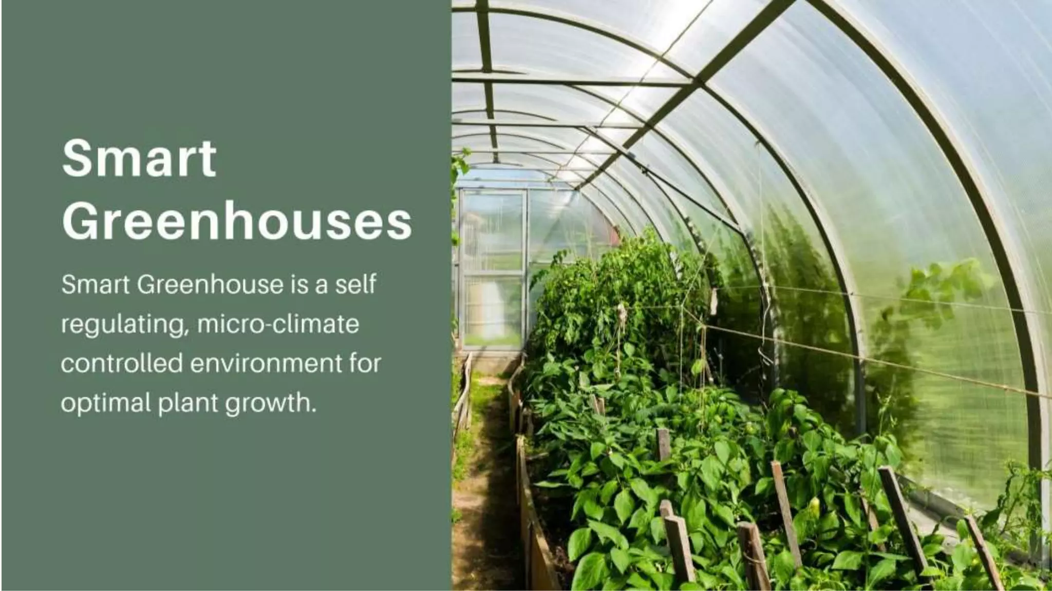 Smart Greenhouses
Smart Greenhouse is a self regulating, micro-climate controlled
environment for optimal plant growth.