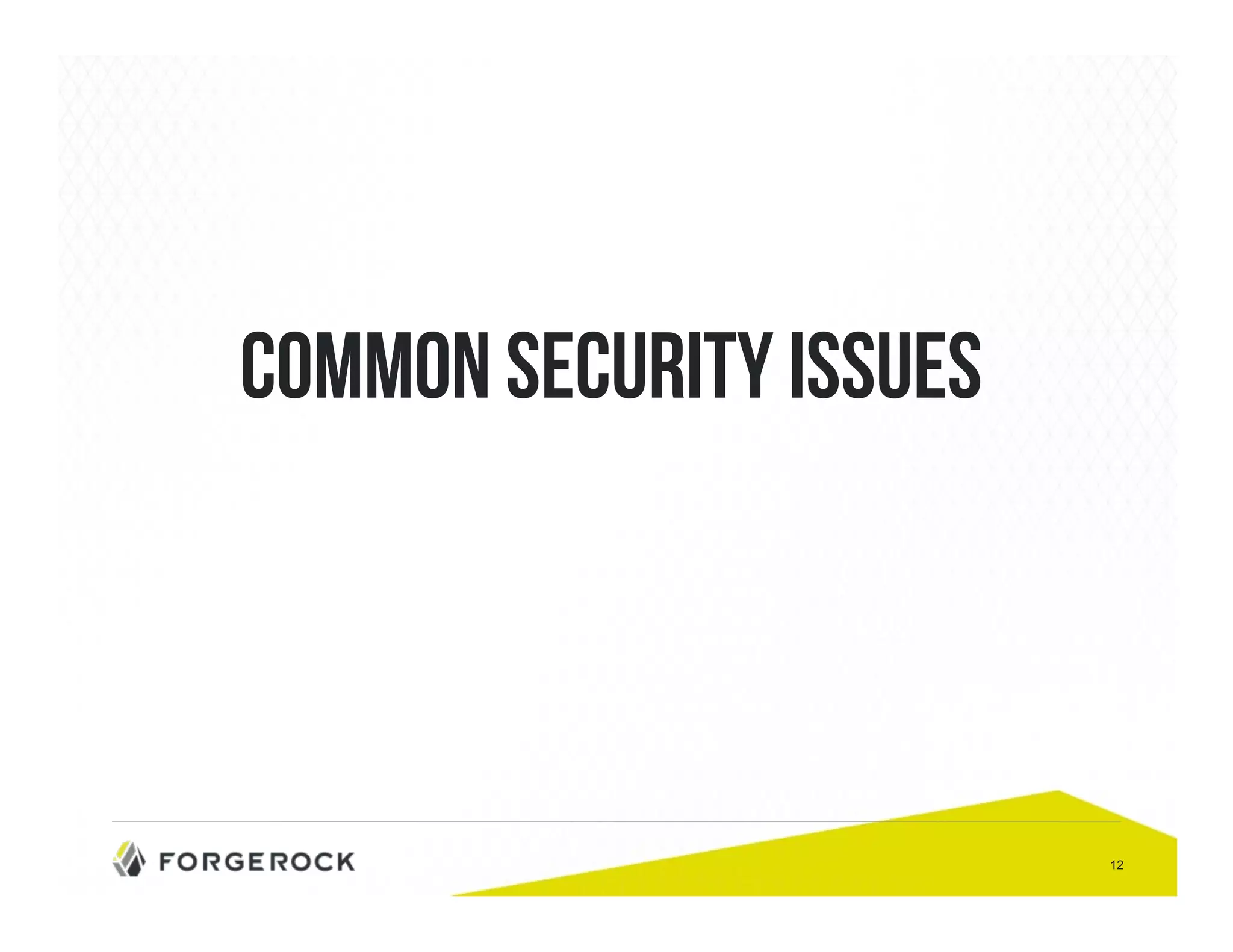 12 
Common Security Issues 
 