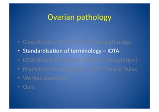 IOTA_ Simple_Rules_-_Susanne_Johnson.pdf