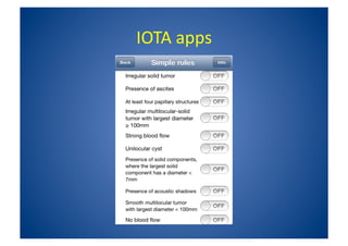 IOTA_ Simple_Rules_-_Susanne_Johnson.pdf