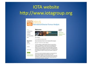 IOTA_ Simple_Rules_-_Susanne_Johnson.pdf