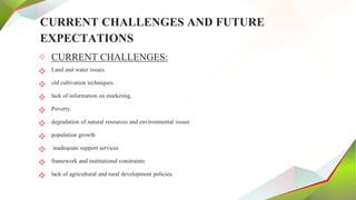 CURRENT CHALLENGES AND FUTURE
EXPECTATIONS
✧ CURRENT CHALLENGES:
 Land and water issues.
 old cultivation techniques.
 lack of information on marketing.
 Poverty.
 degradation of natural resources and environmental issues
 population growth
 inadequate support services
 framework and institutional constraints
 lack of agricultural and rural development policies.
 