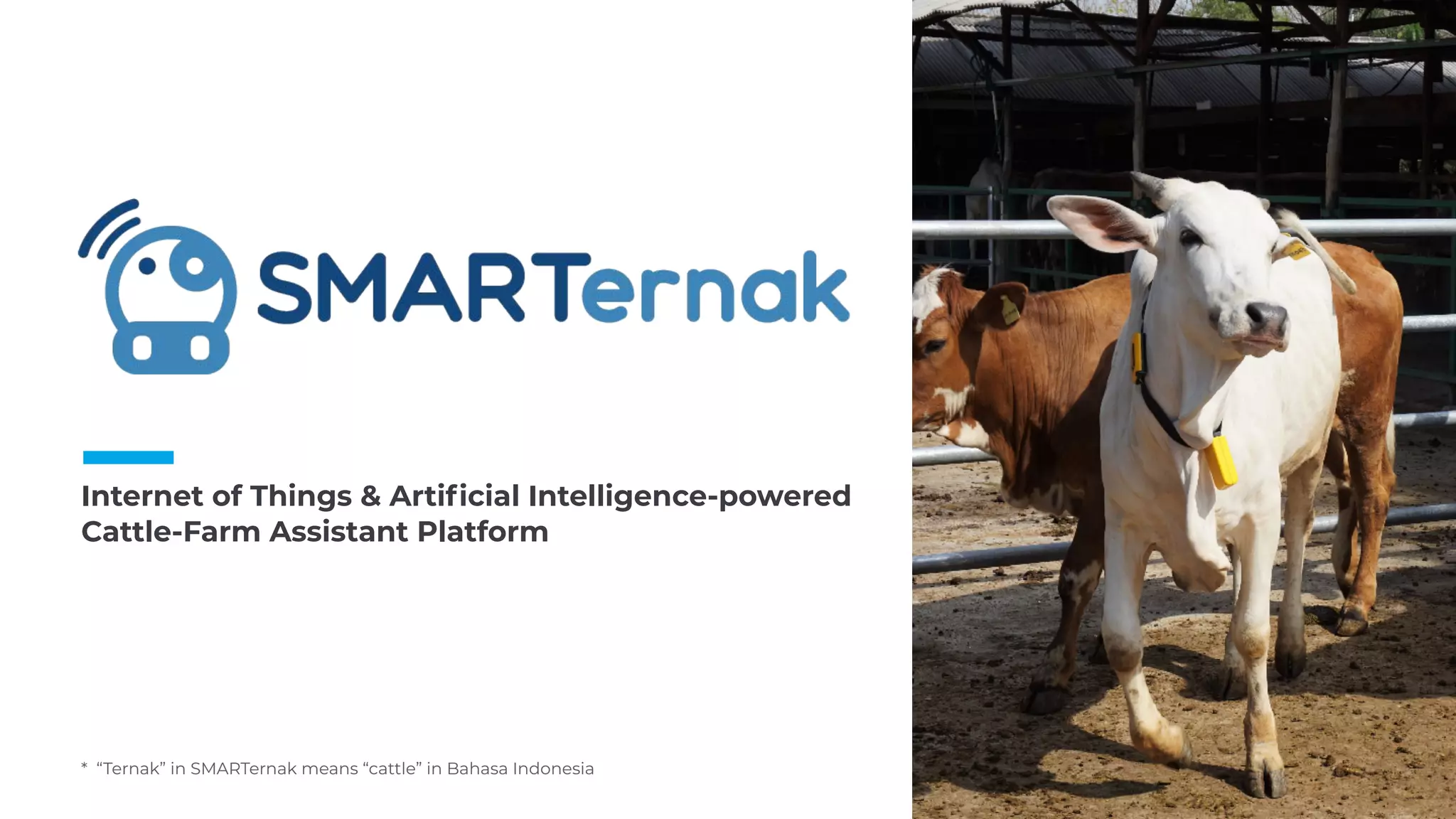 * “Ternak” in SMARTernak means “cattle” in Bahasa Indonesia
Internet of Things & Artificial Intelligence-powered  
Cattle-Farm Assistant Platform
66
 
