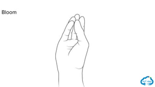 Bloom
 
