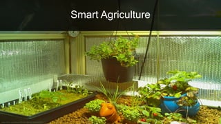 Smart Agriculture
 