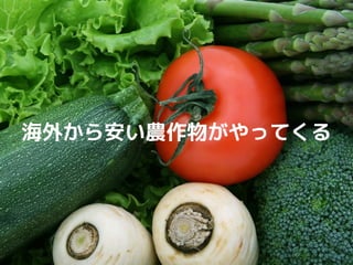 COPYRIGHT (C) 2015 SERAKU CO., LTD. ALL RIGHTS RESERVED.
海外から安い農作物がやってくる
 