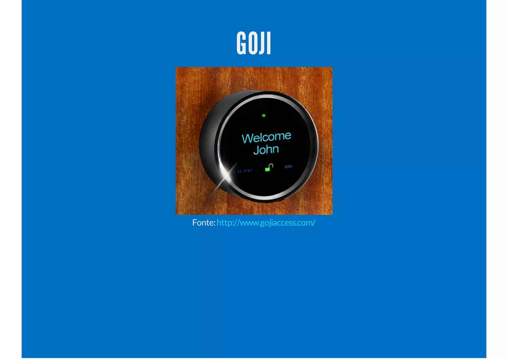 GOJI
Fonte:http://www.gojiaccess.com/
 