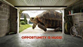 Opportunity is huge!
 