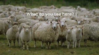 What do you see here?
 