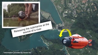 * Information provided by Ocean fox
 