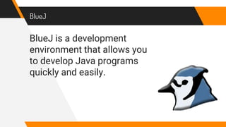 BlueJ
BlueJ is a development
environment that allows you
to develop Java programs
quickly and easily.
 