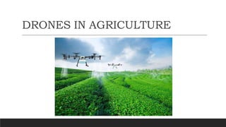 DRONES IN AGRICULTURE
 