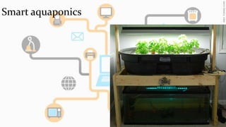 Smart aquaponics 
2 
 