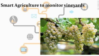 Smart Agriculture to monitor vineyards 
5 
 