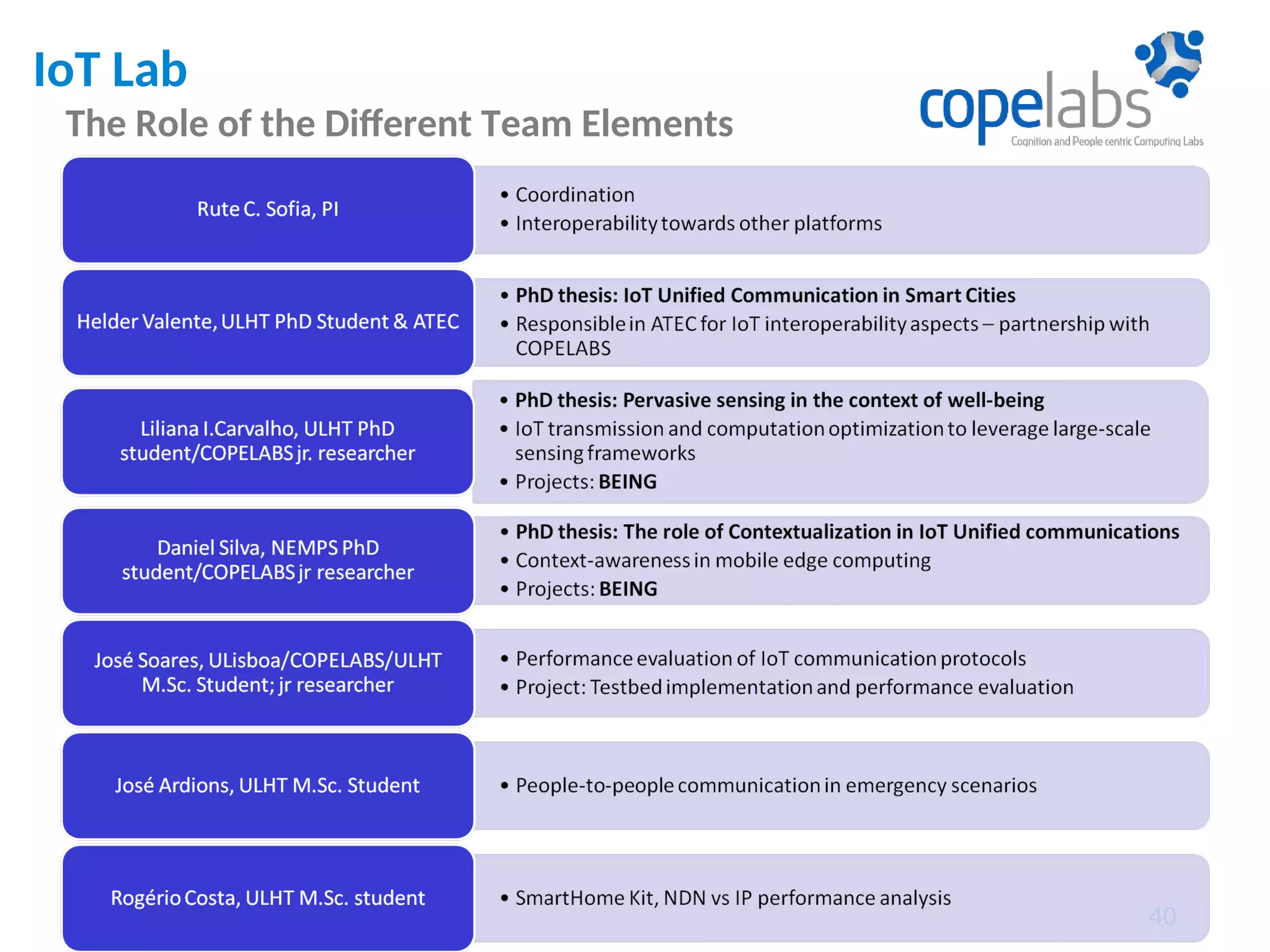 IoT Lab
The Role of the Different Team Elements
40
 