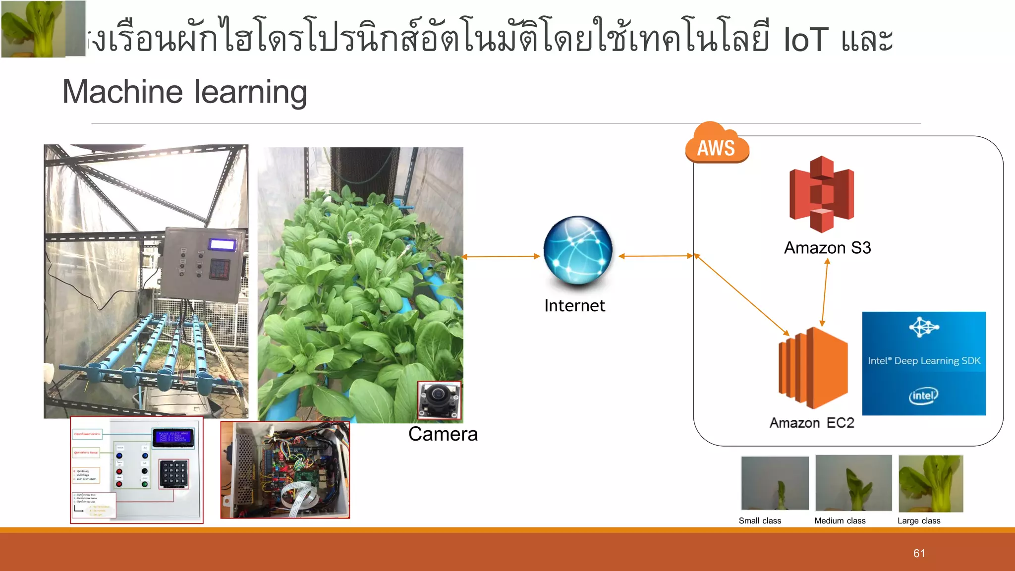 โรงเรือนผักไฮโดรโปรนิกส์อัตโนมัติโดยใช้เทคโนโลยี IoT และ
Machine learning
Internet
Camera
Amazon S3
Small class Medium class Large class
61
 