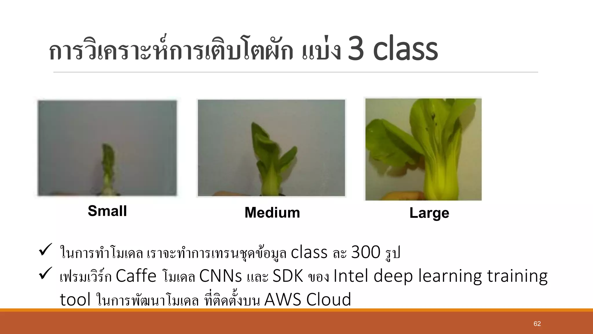 การวิเคราะห์การเติบโตผัก แบ่ง3 class
Small Medium Large
✓ ในการทาโมเดล เราจะทาการเทรนชุดข้อมูล class ละ 300 รูป
✓ เฟรมเวิร์ก Caffe โมเดล CNNs และ SDK ของ Intel deep learning training
tool ในการพัฒนาโมเดล ที่ติดตั้งบน AWS Cloud
62
 