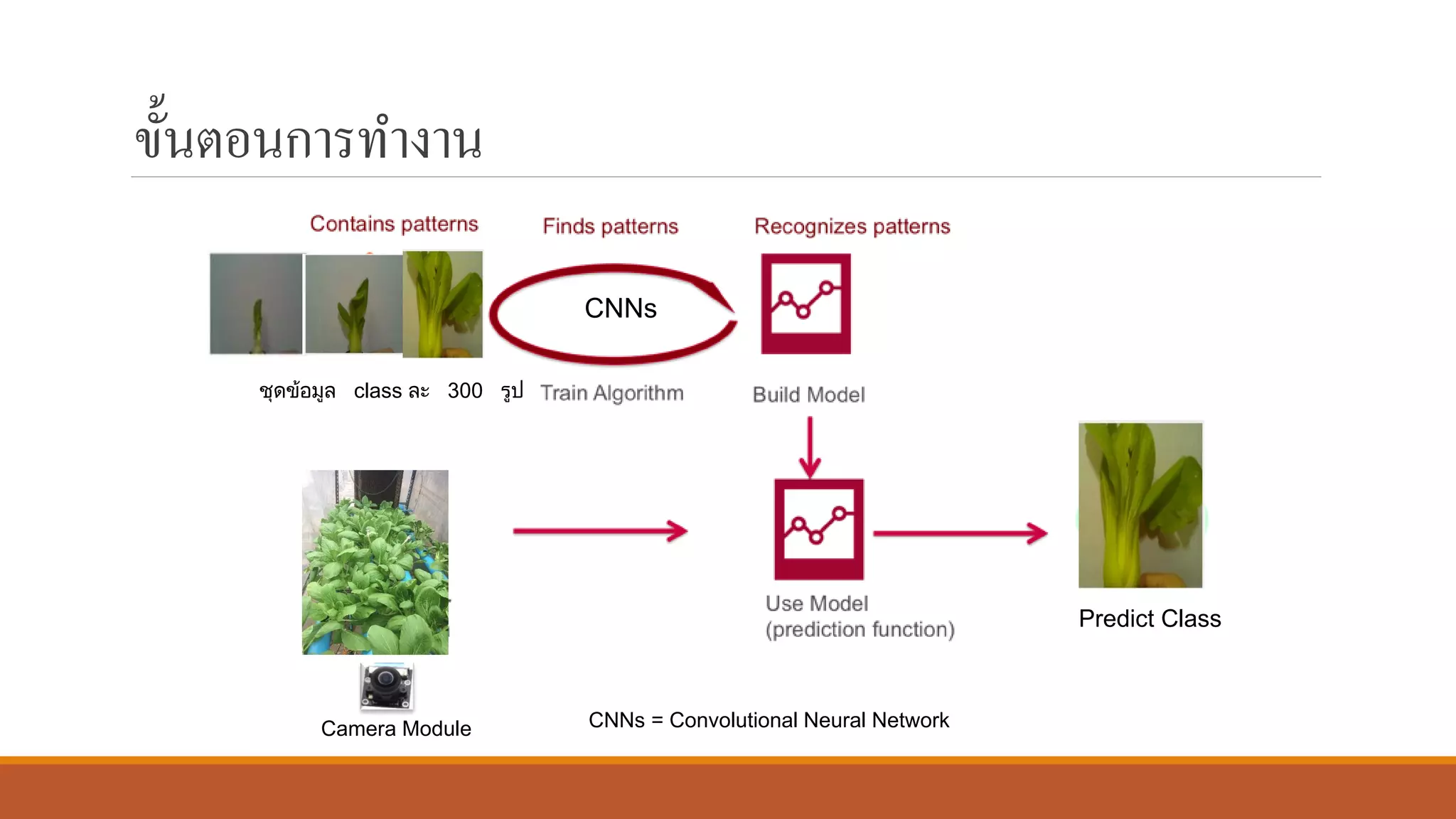 ขั้นตอนการทางาน
Camera Module
ชุดข้อมูล class ละ 300 รูป
Predict Class
CNNs
CNNs = Convolutional Neural Network
 