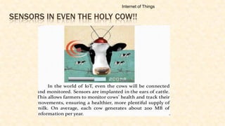 SENSORS IN EVEN THE HOLY COW!!
Internet of Things
 