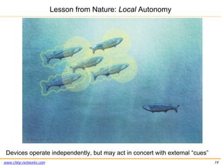 www.chirp-networks.com 19
Lesson from Nature: Local Autonomy
Devices operate independently, but may act in concert with ex...