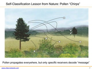 www.chirp-networks.com 7
Self-Classification Lesson from Nature: Pollen “Chirps”
Pollen propagates everywhere, but only sp...