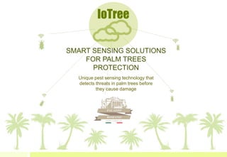 IoTree
SMART SENSING SOLUTIONS
FOR PALM TREES
PROTECTION
Unique pest sensing technology that
detects threats in palm trees before
they cause damage
 