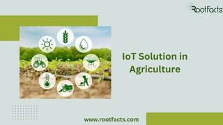 IoT Solution in
Agriculture
www.rootfacts.com
 