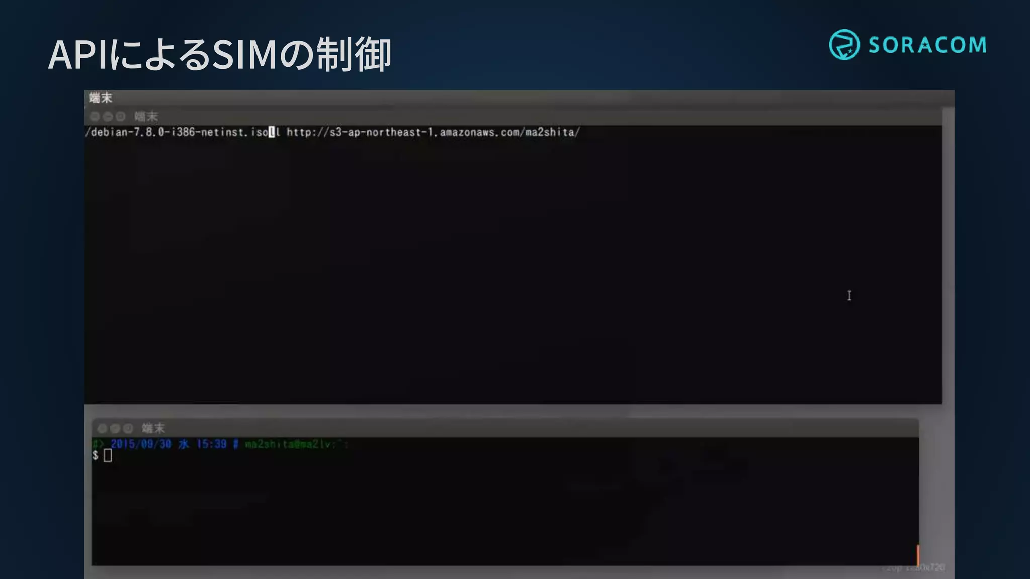 APIによるSIMの制御
 