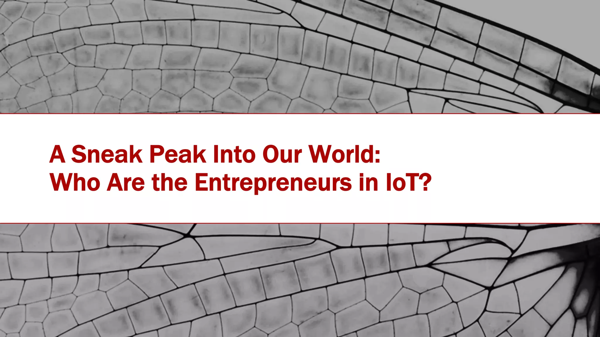#IOTSTATEOFTHEUNION
A Sneak Peak Into Our World:
Who Are the Entrepreneurs in IoT?
 