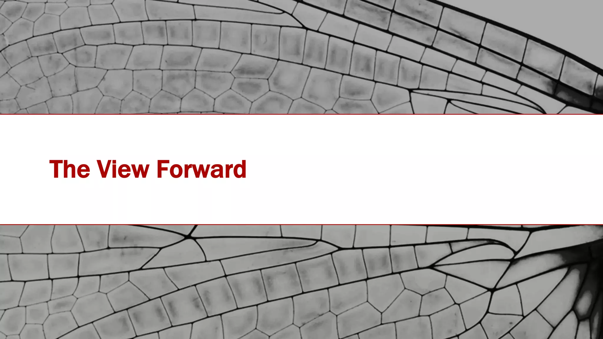 #IOTSTATEOFTHEUNION
The View Forward
 